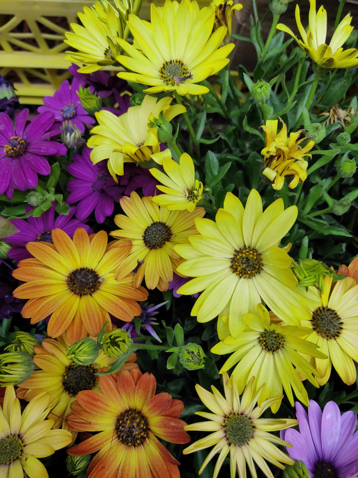 Realme 3 Pro - Foto 2