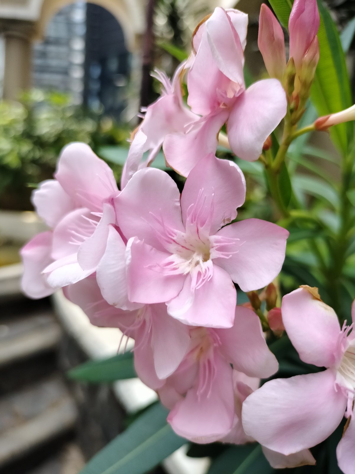 50344903821 Realme 7i - Foto 7