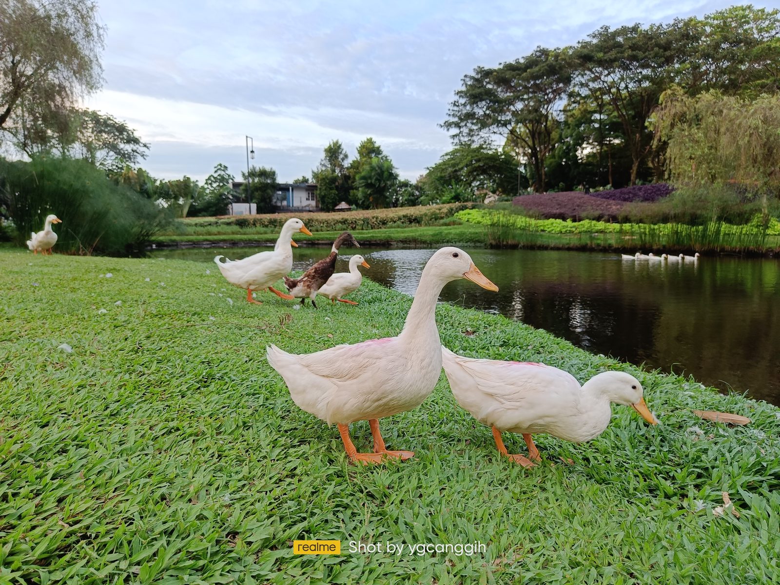 51885948259 realme 9 Pro+ - Foto 7