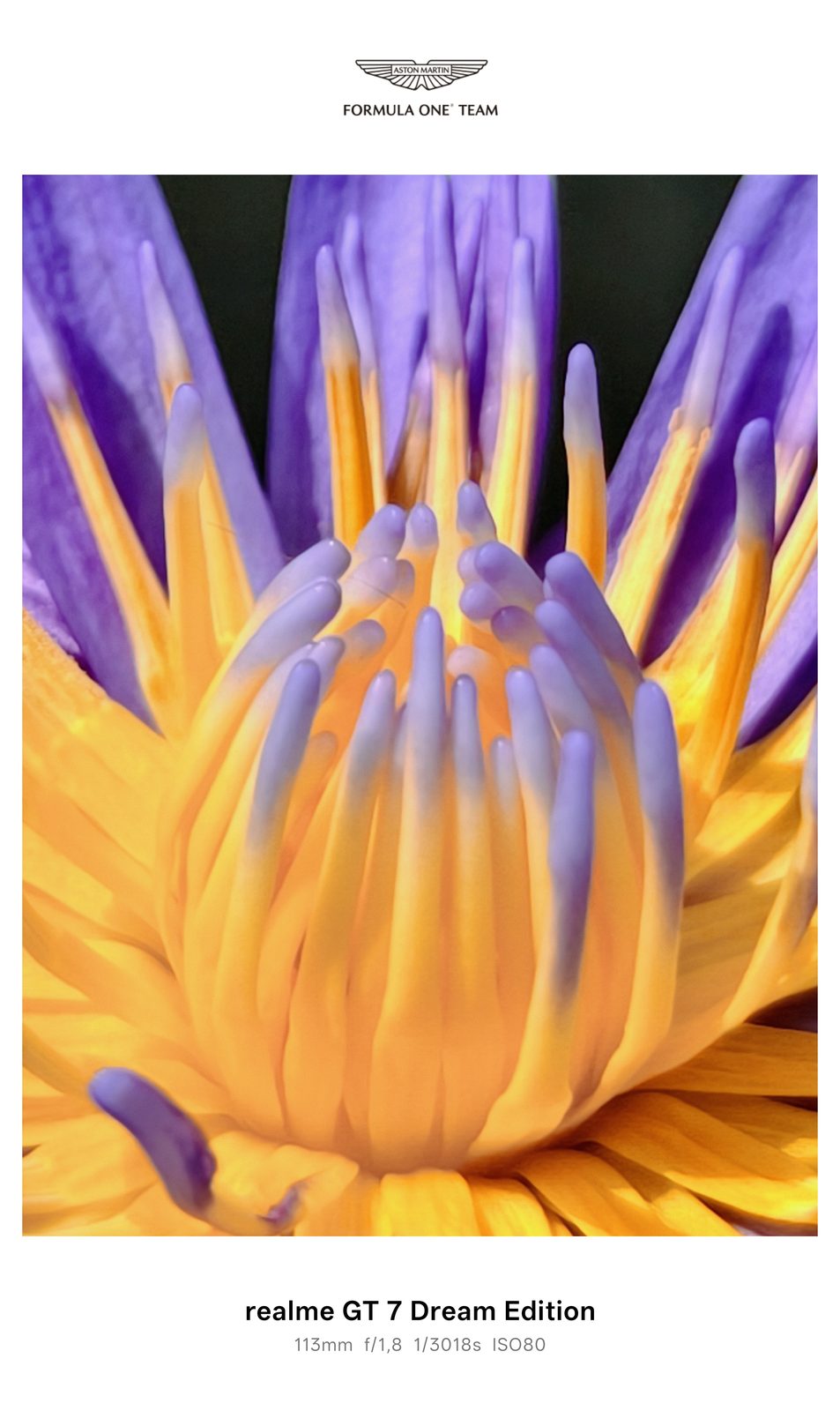 54564649715 realme GT 7 Dream Edition - Foto 14