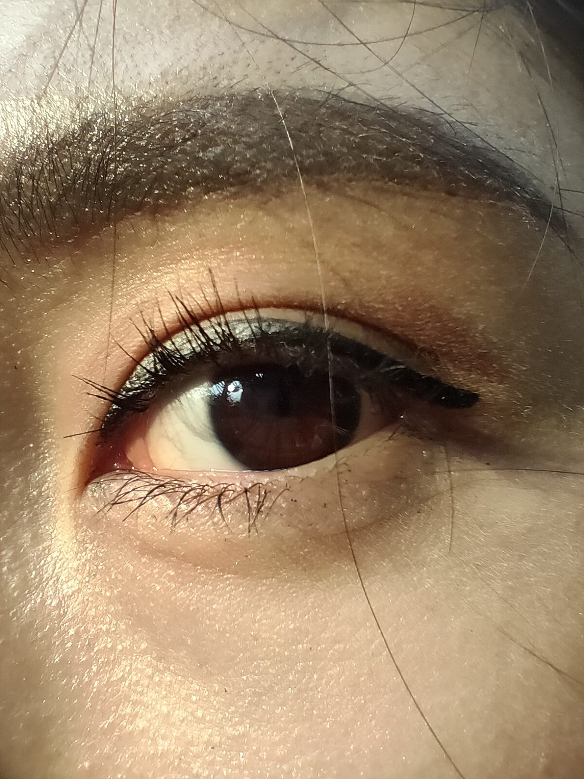 48907276001 macro 2mp