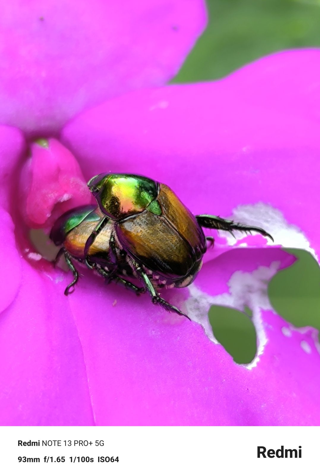 53587584121 Redmi Note 13 Pro+ 5G - Foto 7