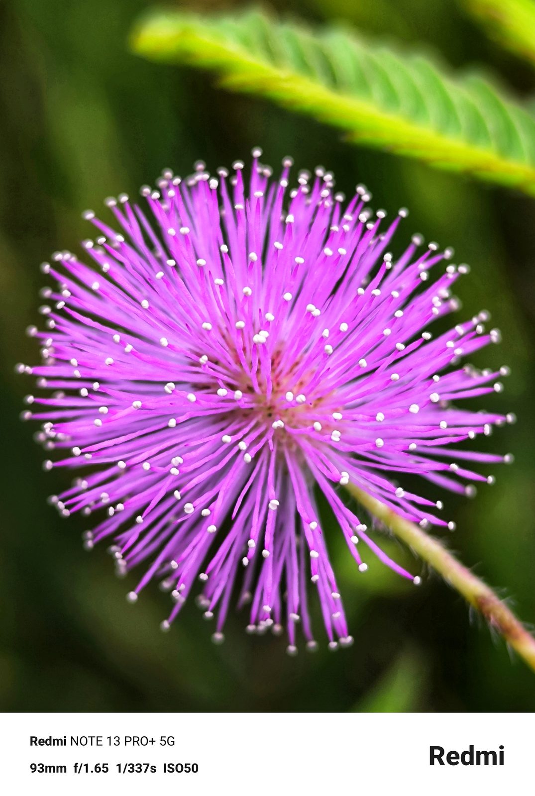 53587819613 Redmi Note 13 Pro+ 5G - Foto 6