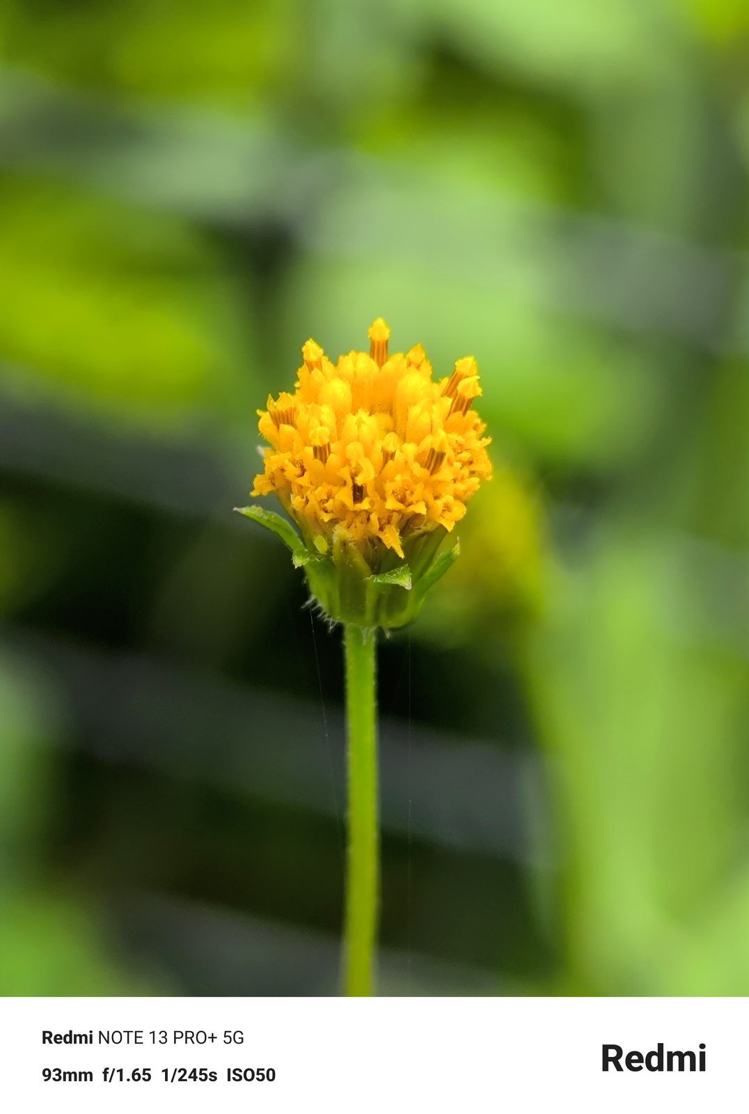 53587905224 Redmi Note 13 Pro+ 5G - Foto 2