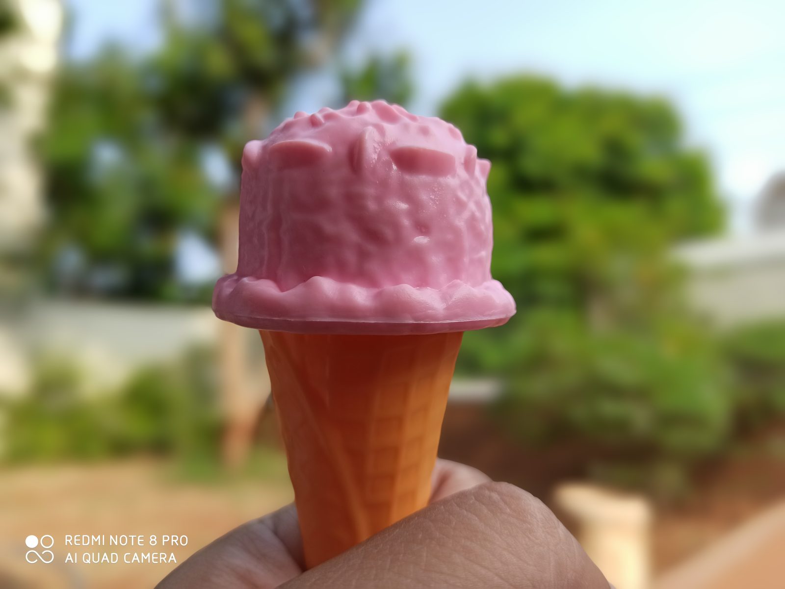 49011360862 Hasil foto Redmi Note 8 Pro (7)