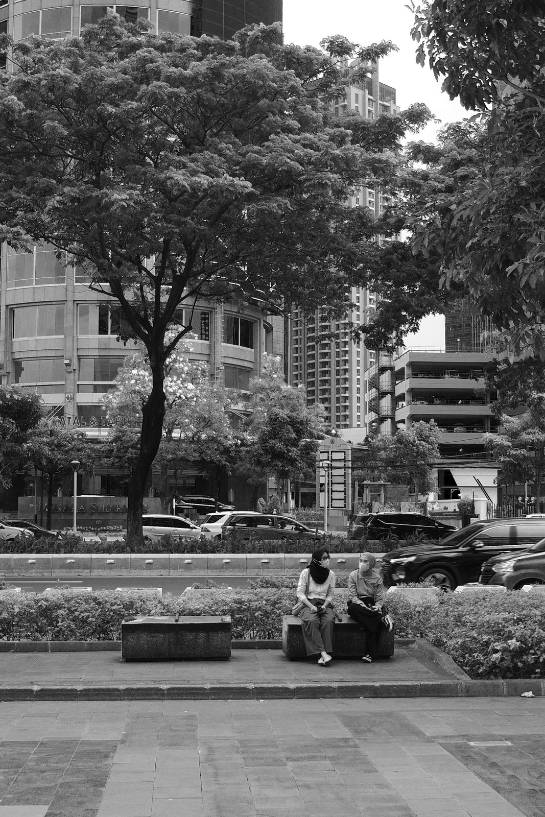 Ricoh GR III - Foto 16