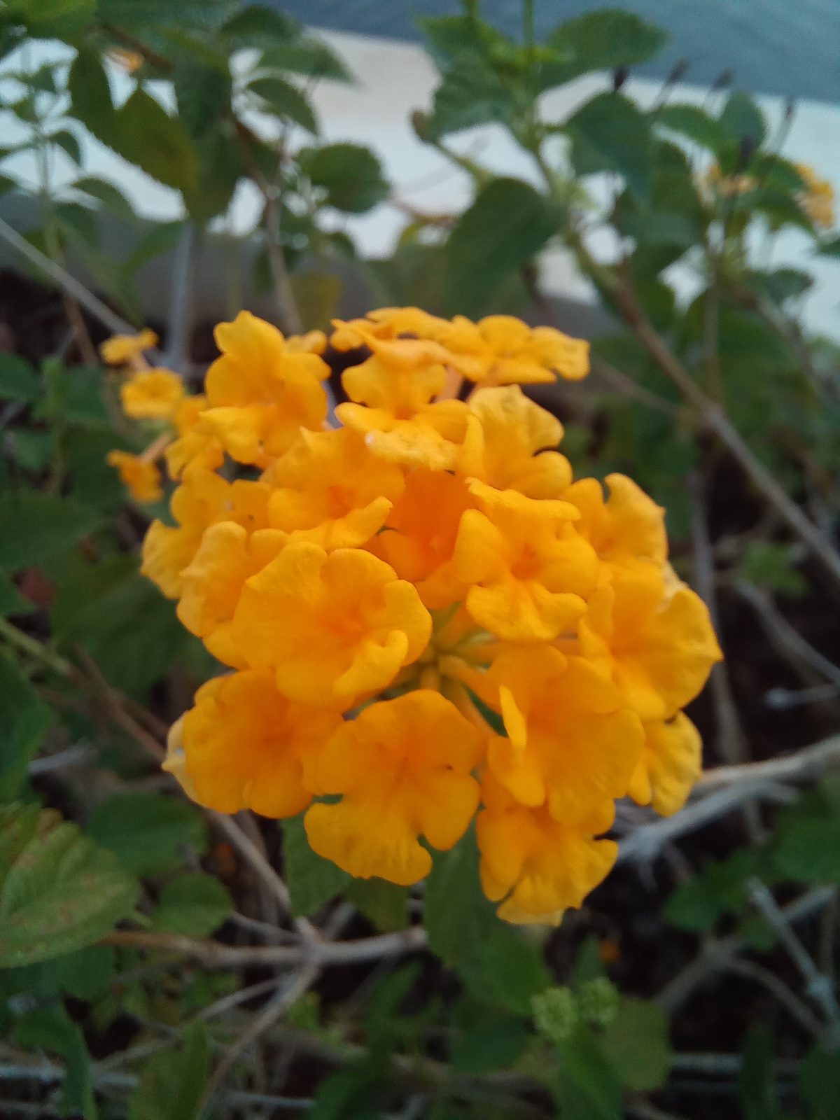Samsung Galaxy A32 - Foto 7
