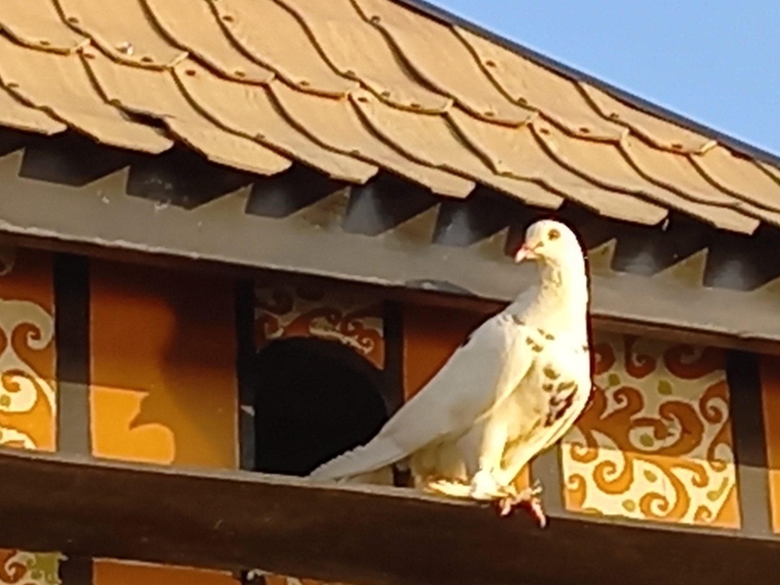 Samsung Galaxy A32 - Foto 13