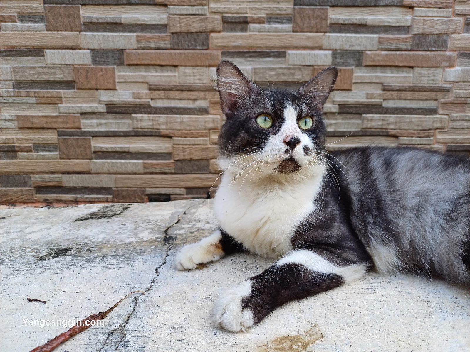 Samsung Galaxy A34 5G - Foto 3
