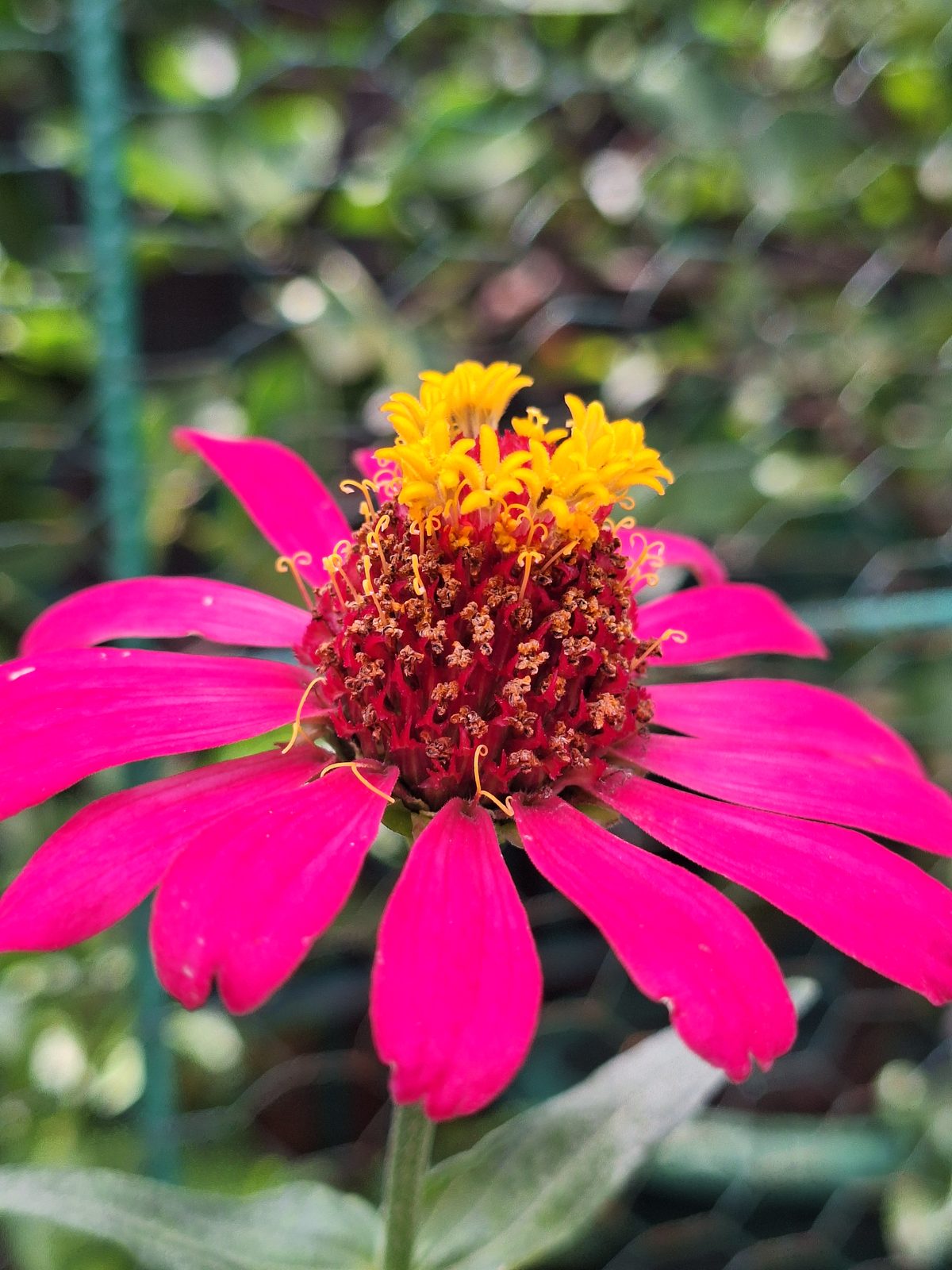 Samsung Galaxy A54 5G - Foto 6