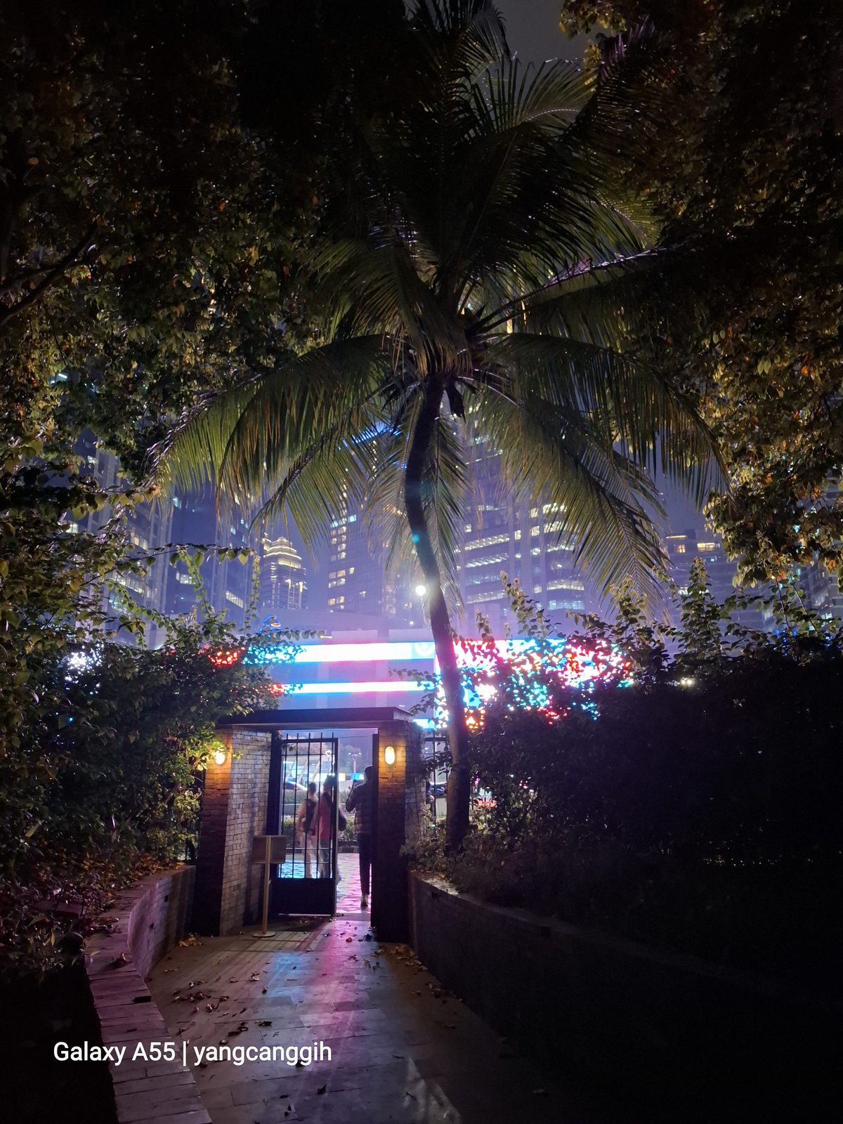 ultra wide night mode