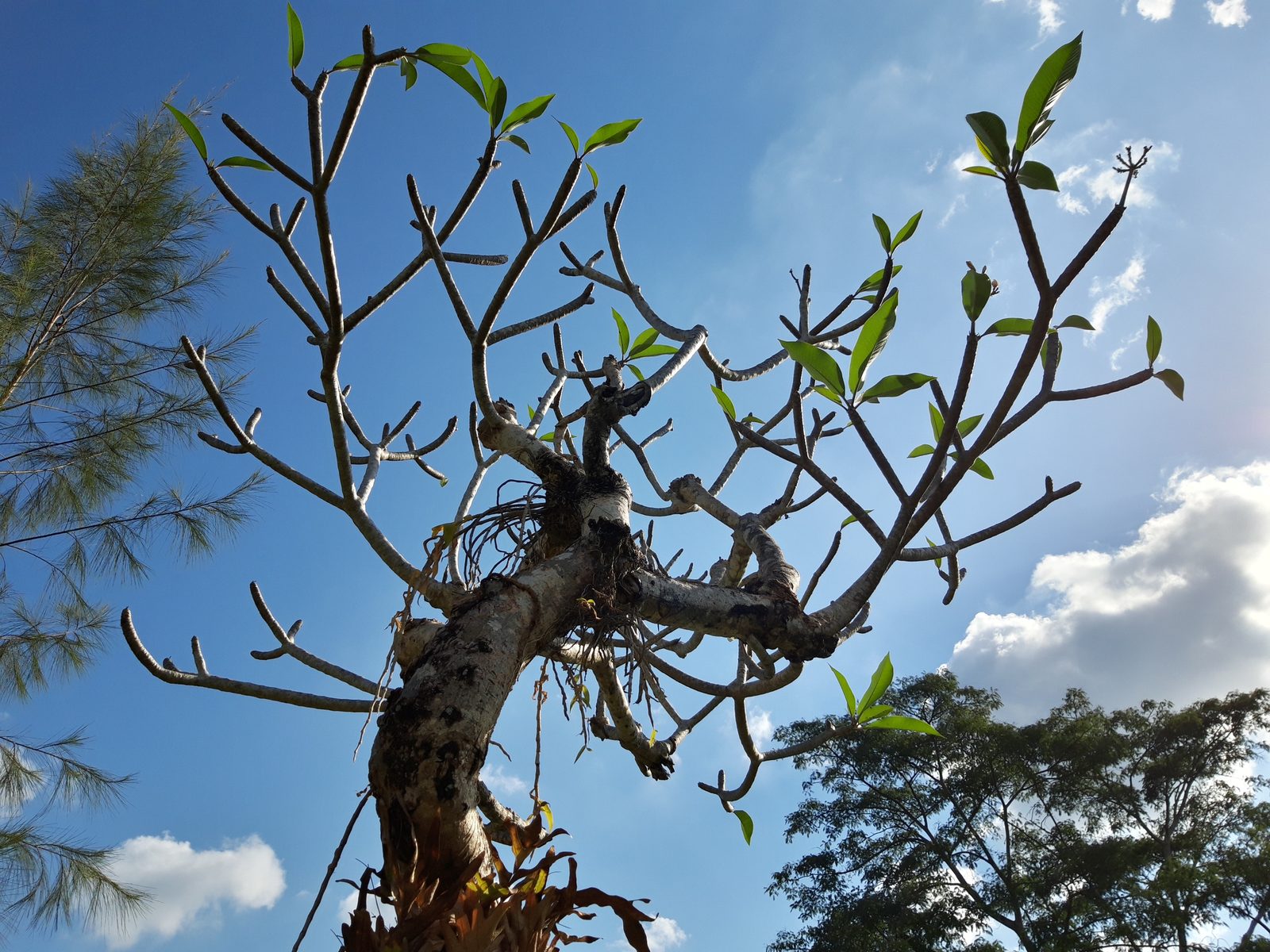 41310679534 Hasil foto Samsung Galaxy A6 (6)