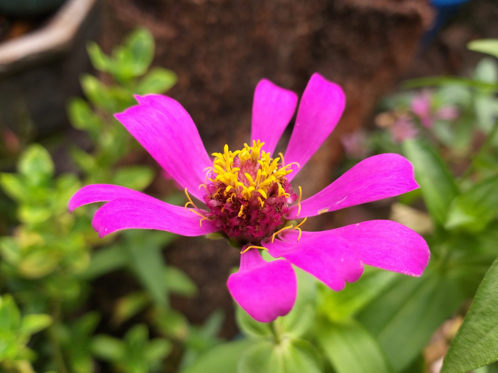 41767025945 Hasil foto Samsung Galaxy A6+ (2)