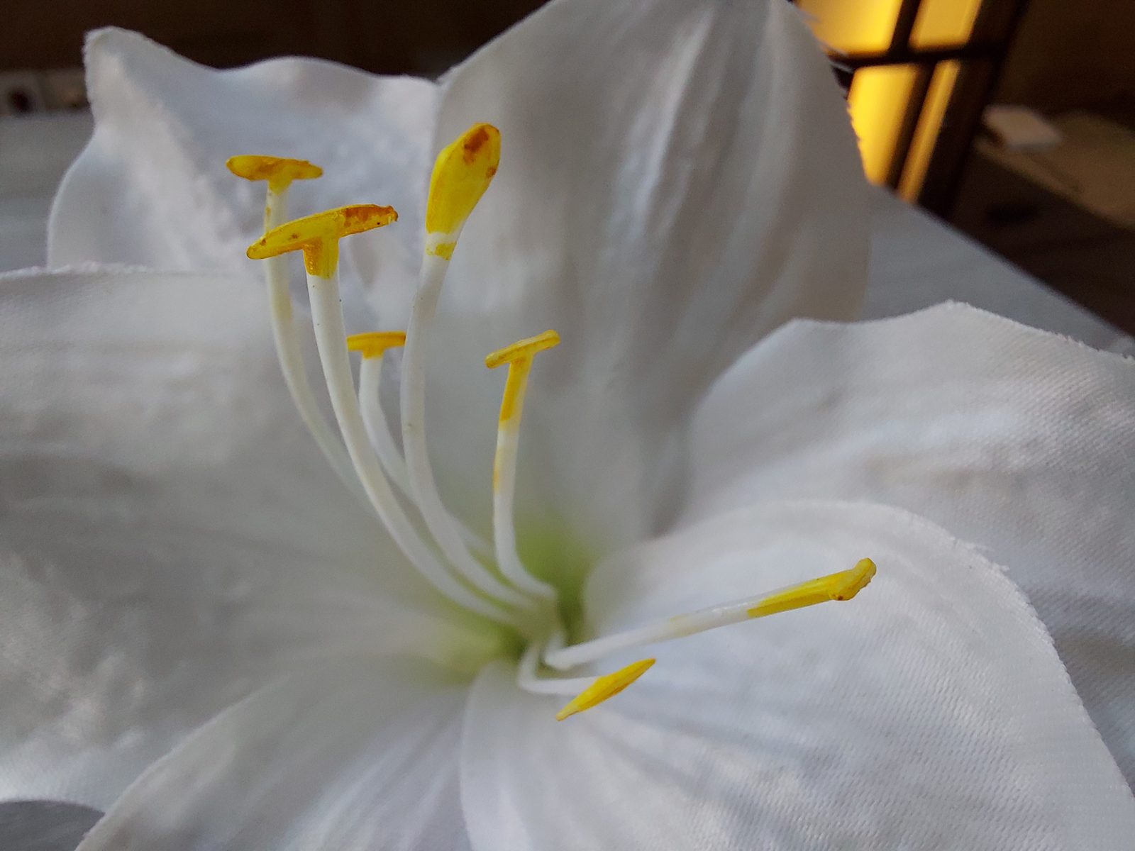 49453398551 Hasil foto Samsung Galaxy A71 (2)