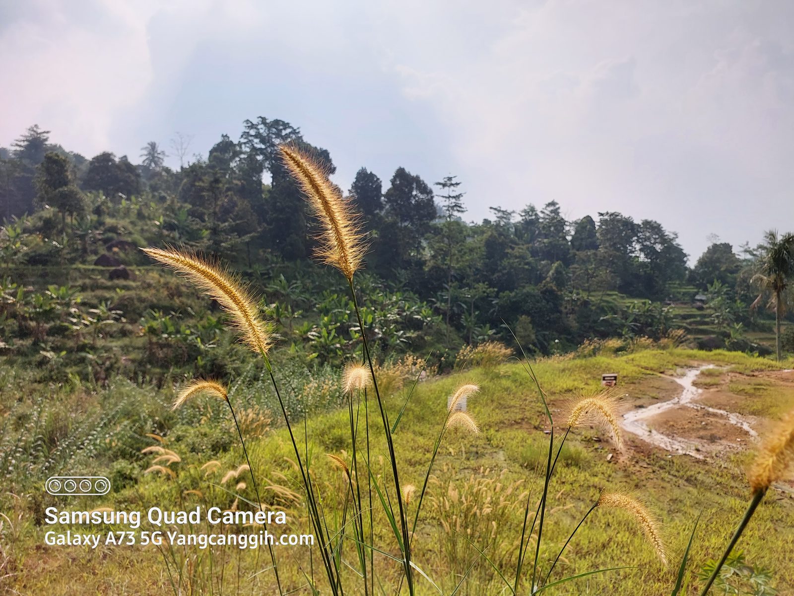 Samsung Galaxy A73 5G - Foto 2