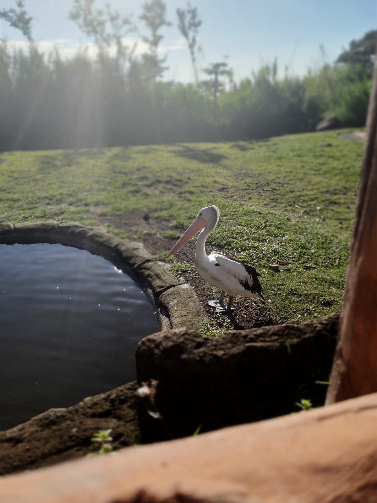 48055362362 Samsung Galaxy S10+ - Foto 17