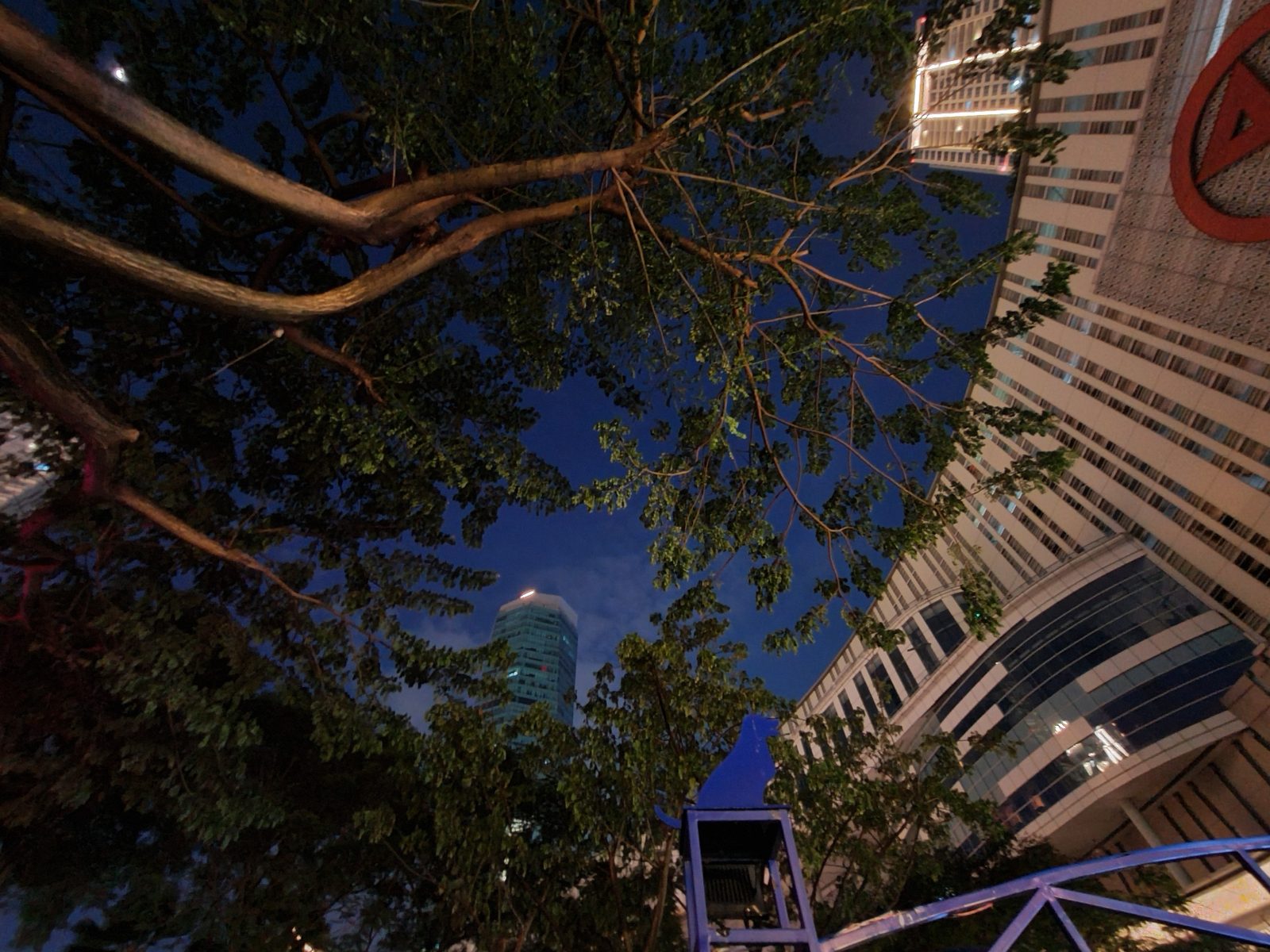 49835834031 ultra wide night mode