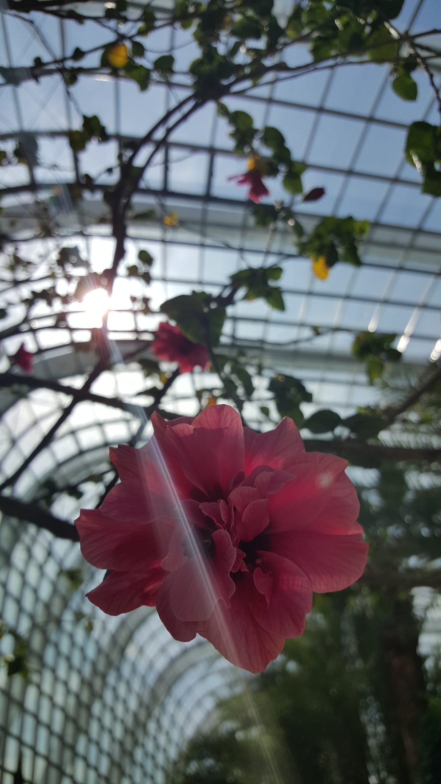 16410506813 Samsung Galaxy S6 - Foto 2