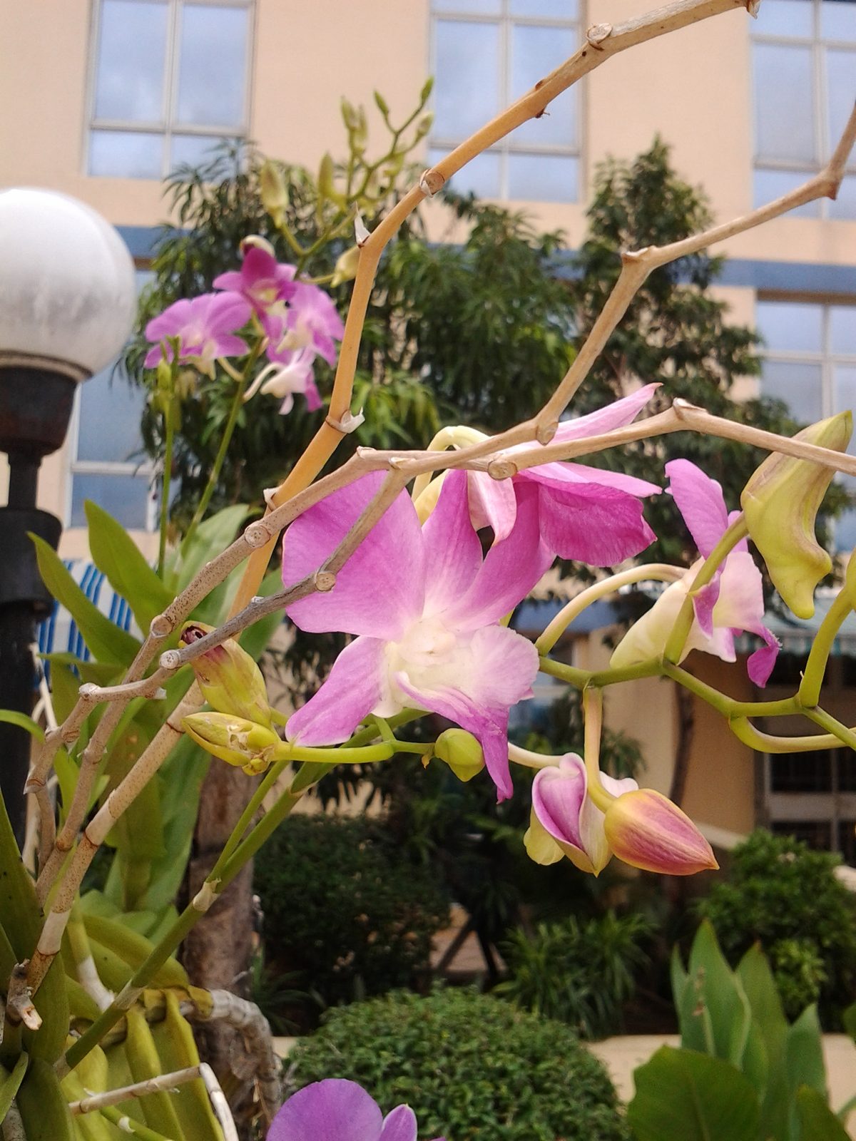 6764757943 Samsung Galaxy Tab 7.0 plus - Foto 8