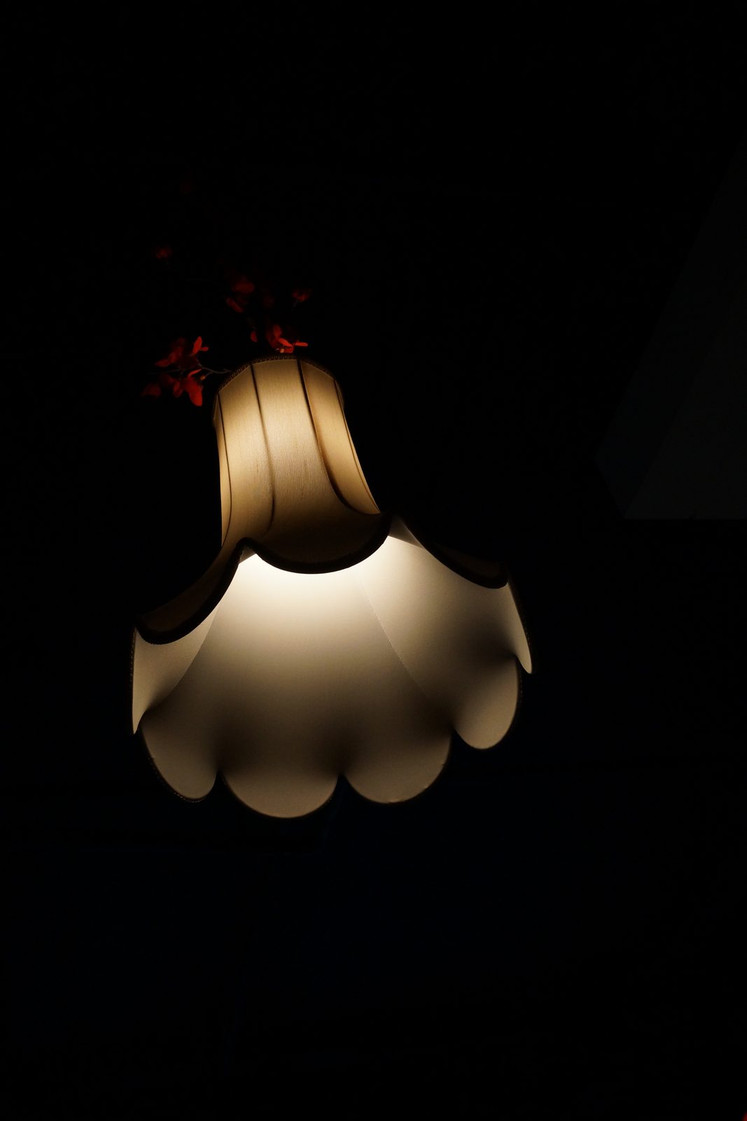 Sony Alpha SLT A65 - Foto 12