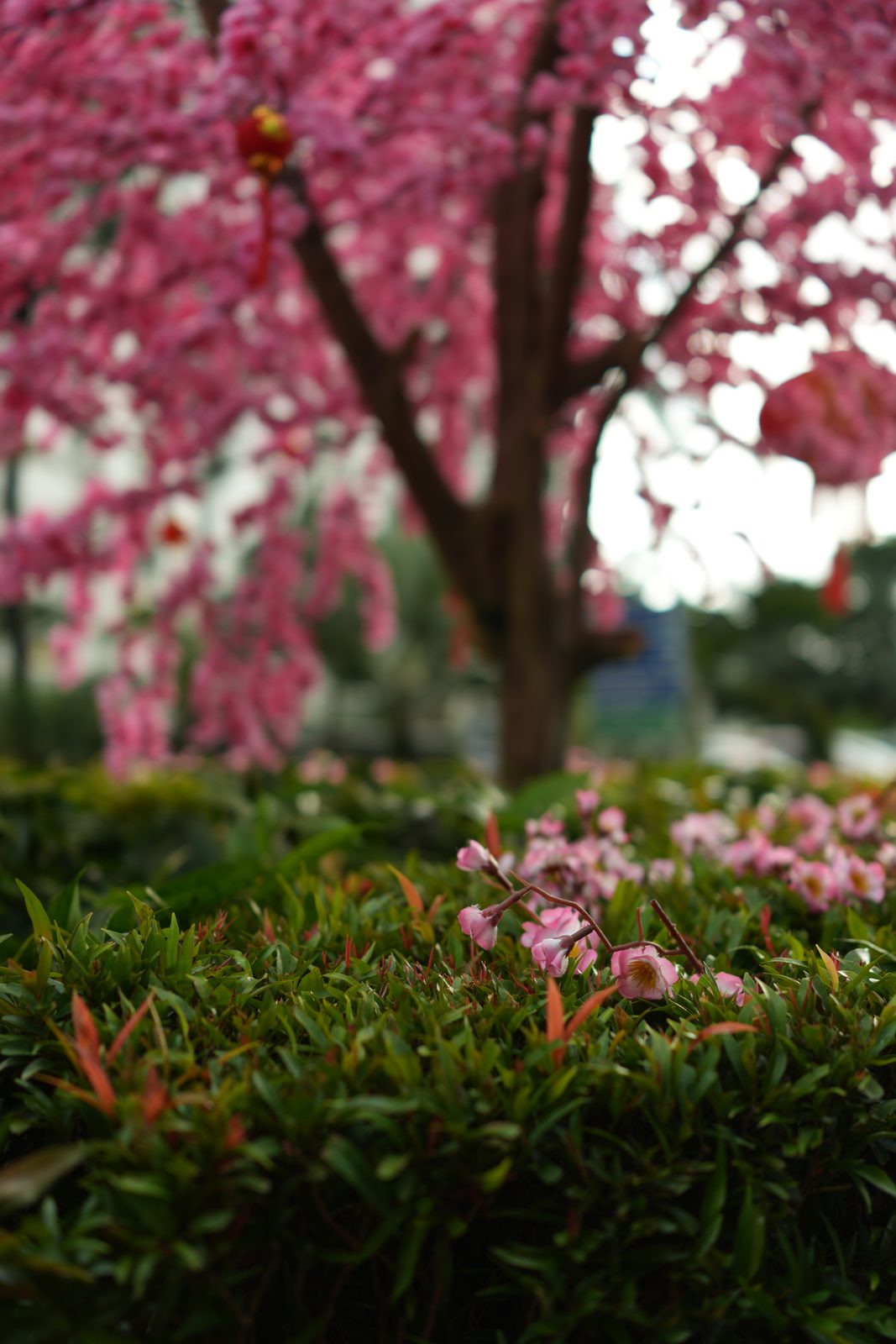 55073678851 Sony Cybershot RX1R III - Foto 2