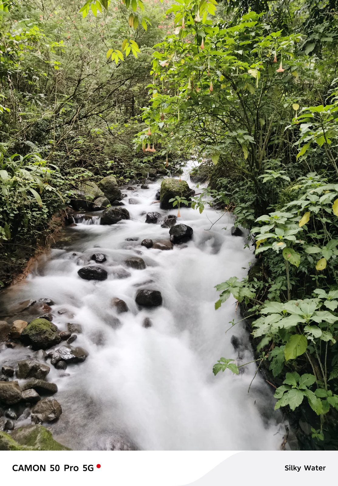 55302820938 TECNO CAMON 50 Pro - Foto 3