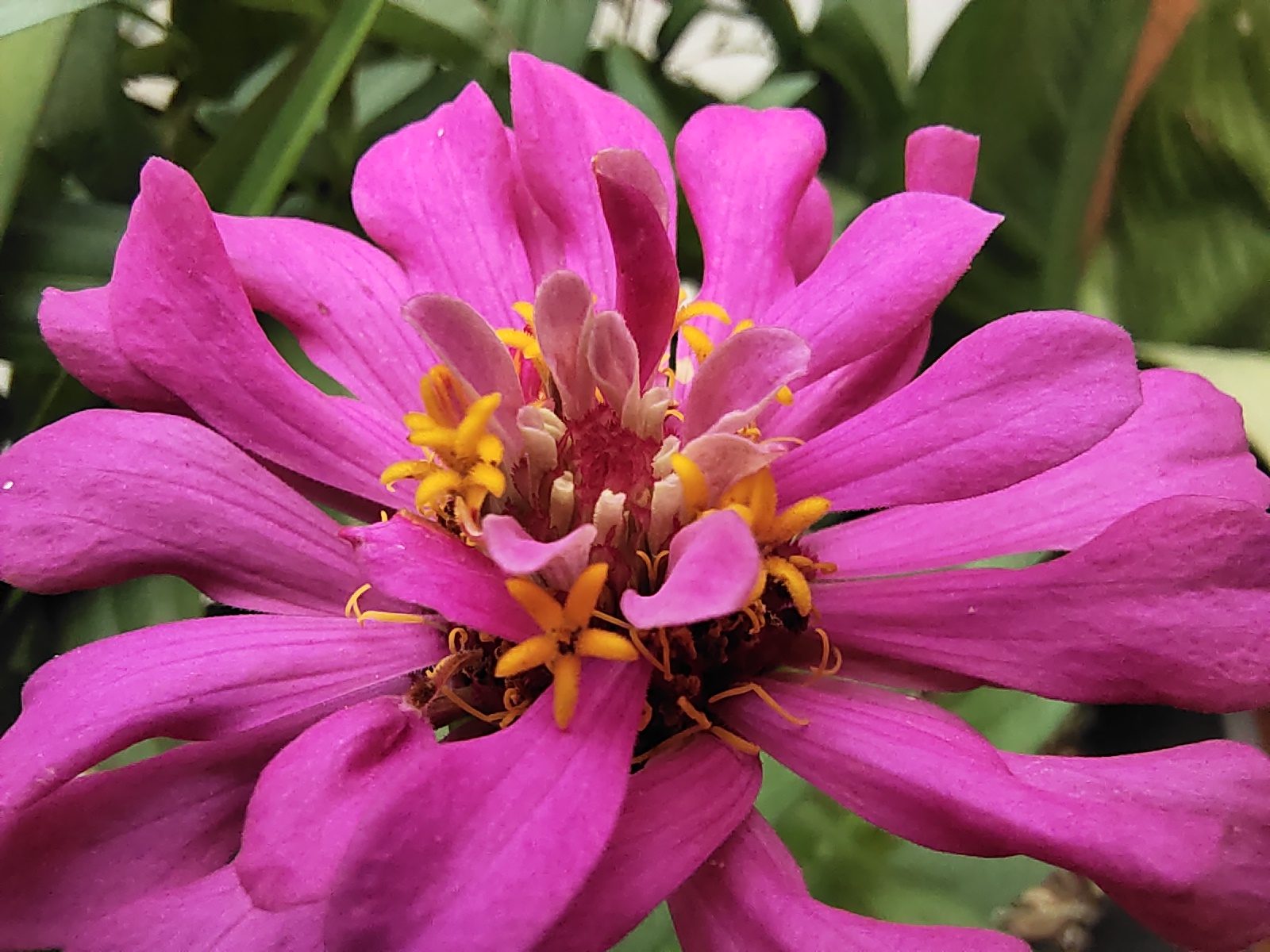 48903779247 Hasil Foto Vivo V17 Pro (17)
