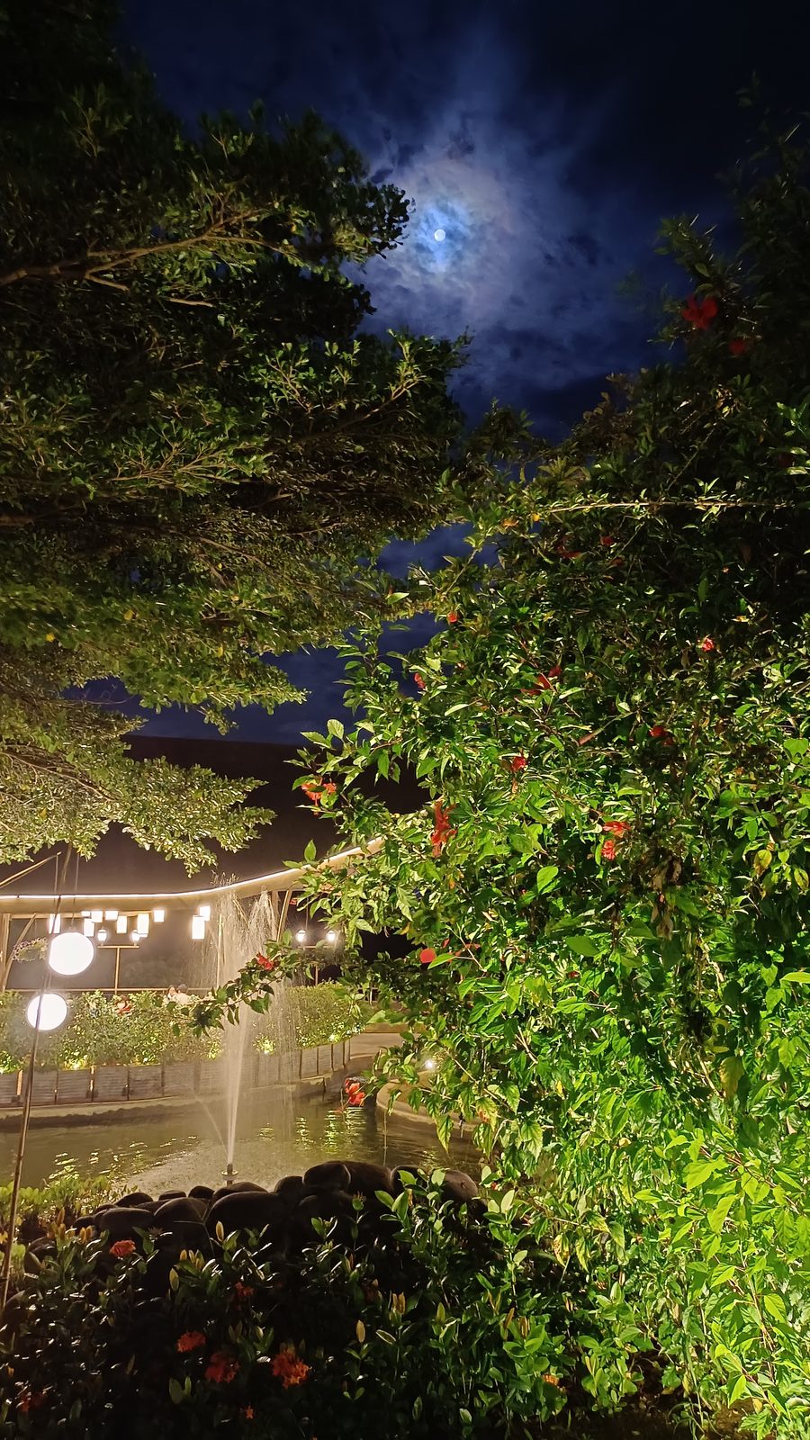52012479473 vivo V23 5G - Foto 10