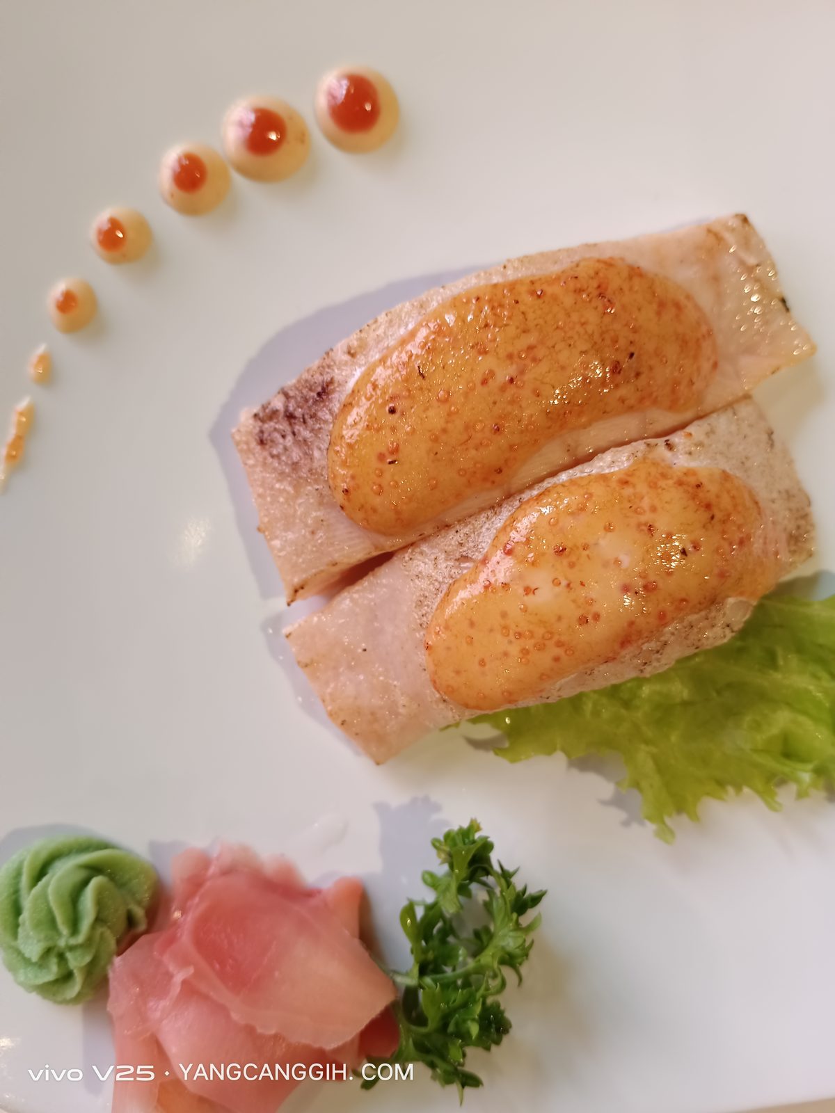 52458537698 Vivo V25 - Foto 1
