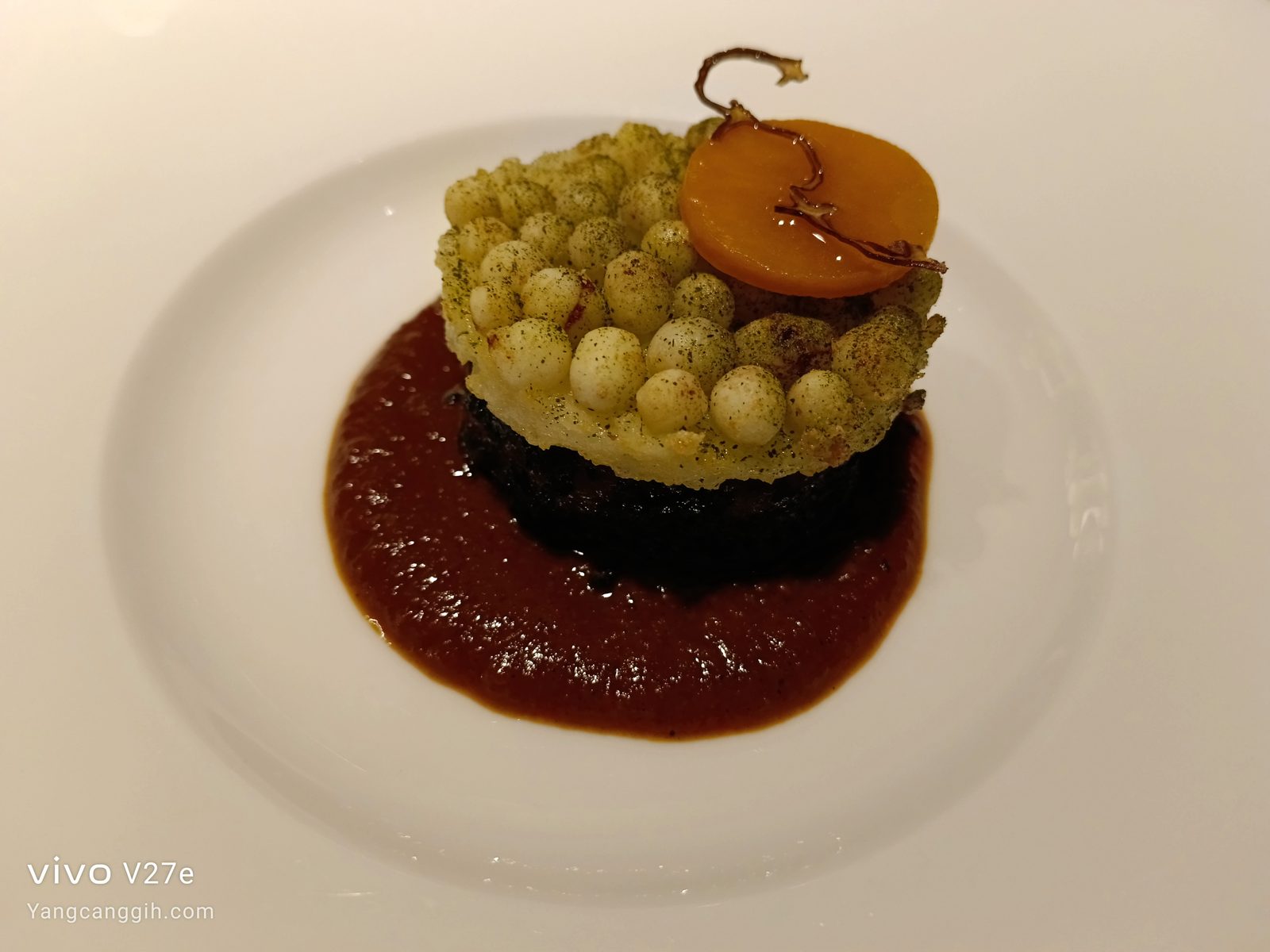 52908789479 Food Photography vivo V27e (6)