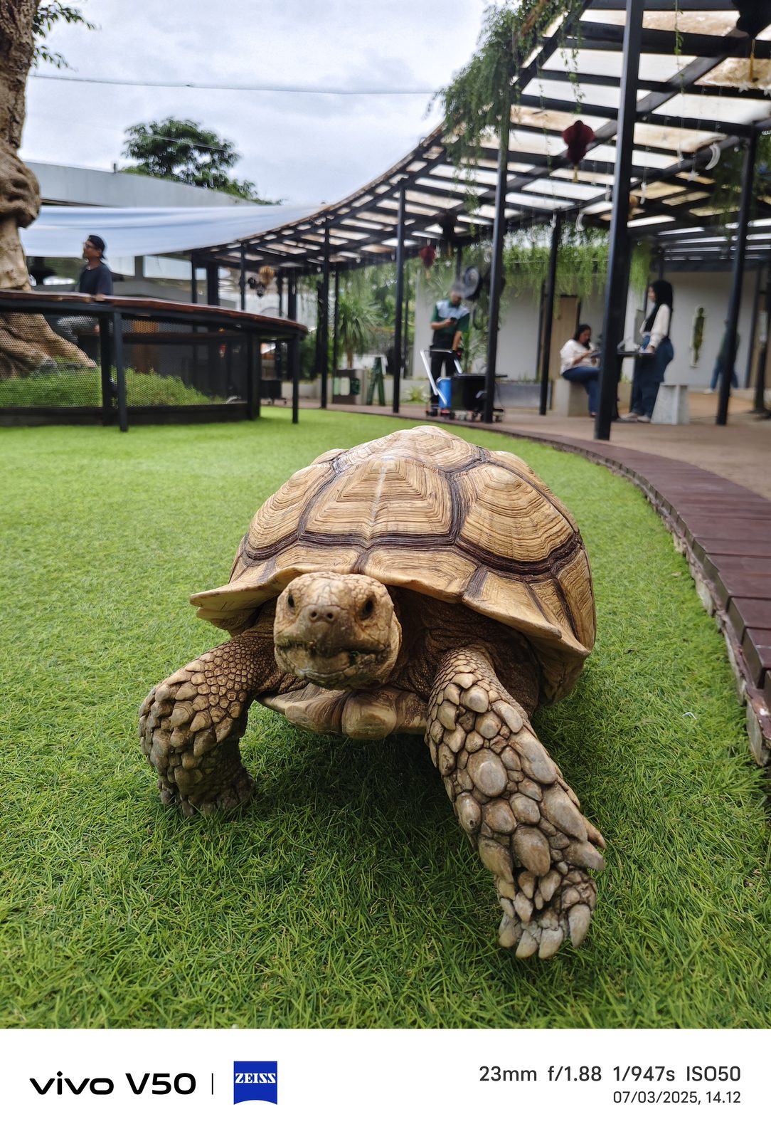 vivo V50 - Foto 6