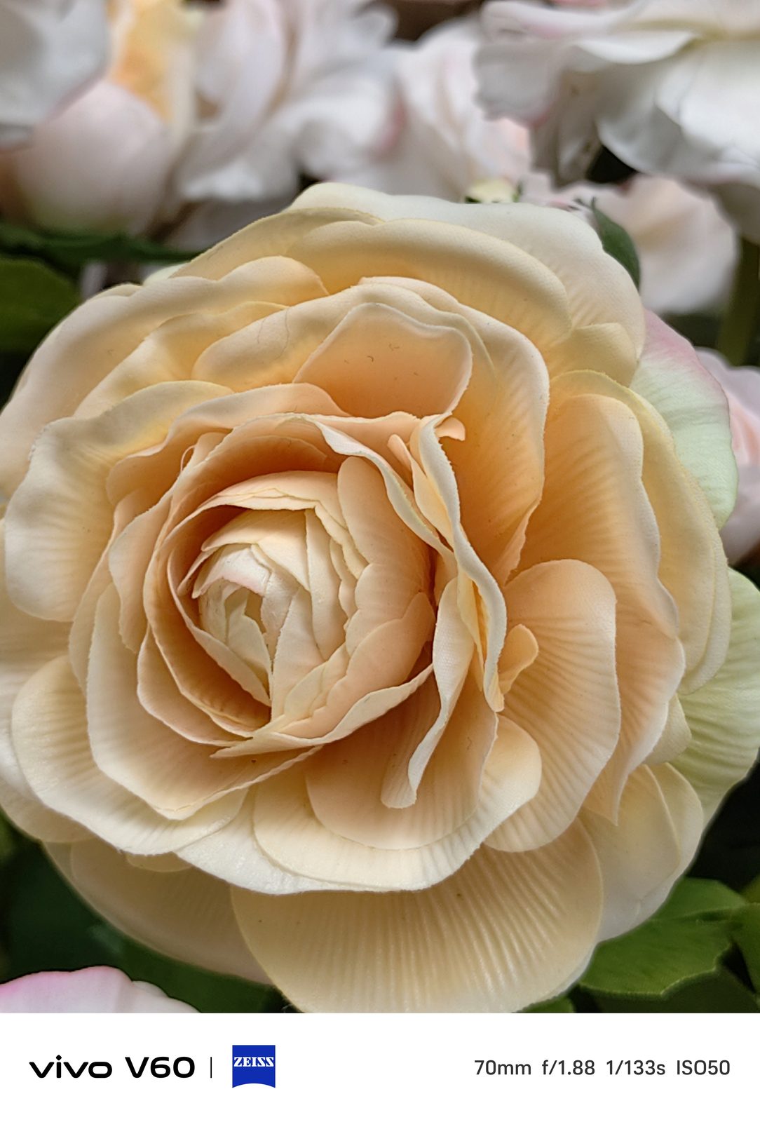 54745565291 vivo V60 - Foto 10