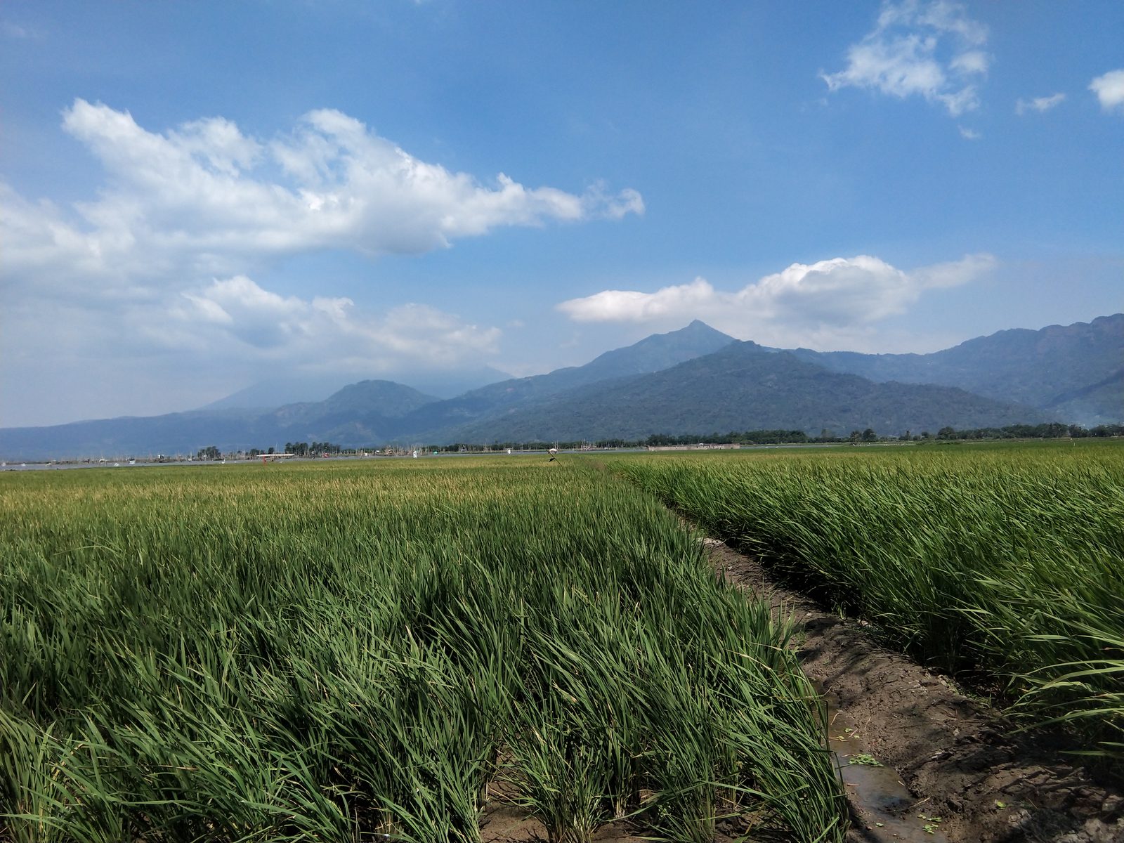 42775521330 Hasil foto Vivo V9 6GB (3)