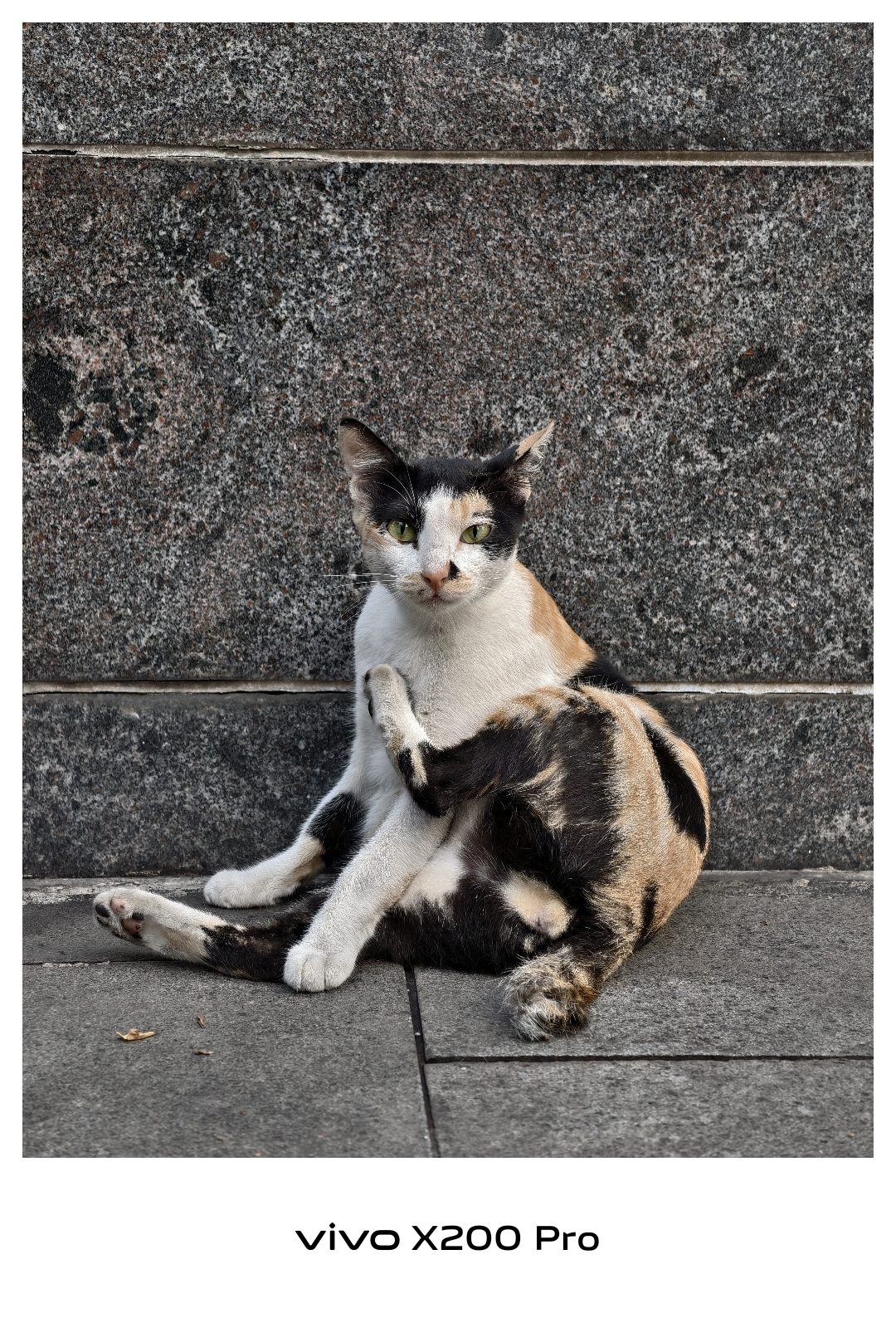 54241785205 vivo X200 Pro - Foto 4