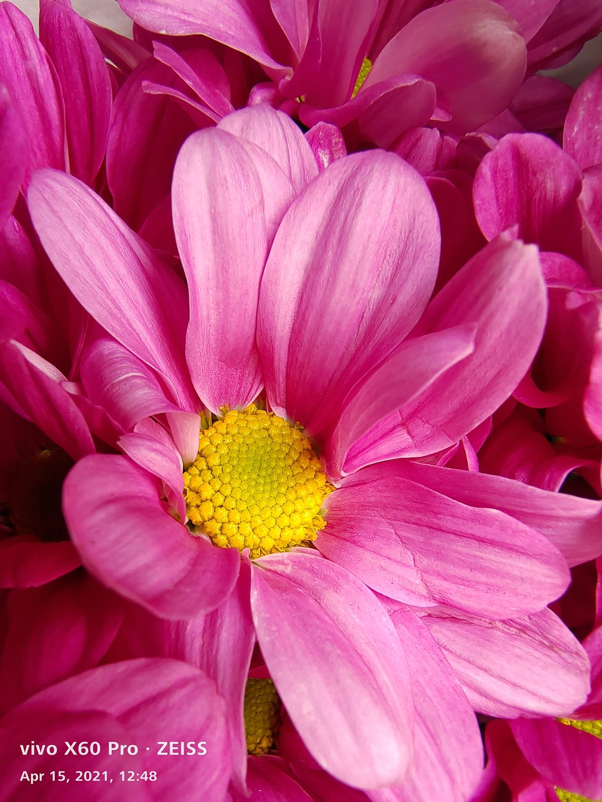 51118527563 macro Vivo X60 Pro