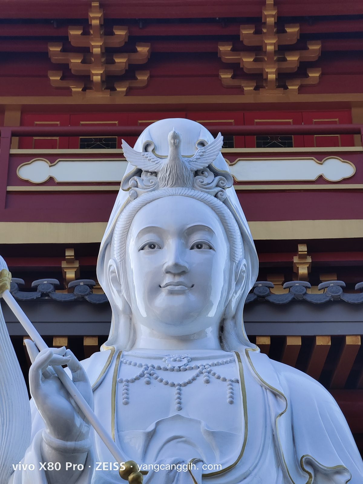 52318897096 vivo X80 Pro 5G - Foto 24