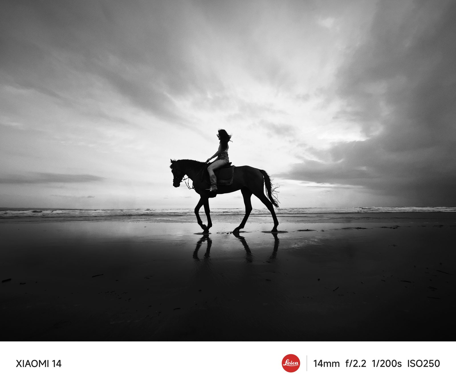 53601475205 Xiaomi 14 - Foto 6