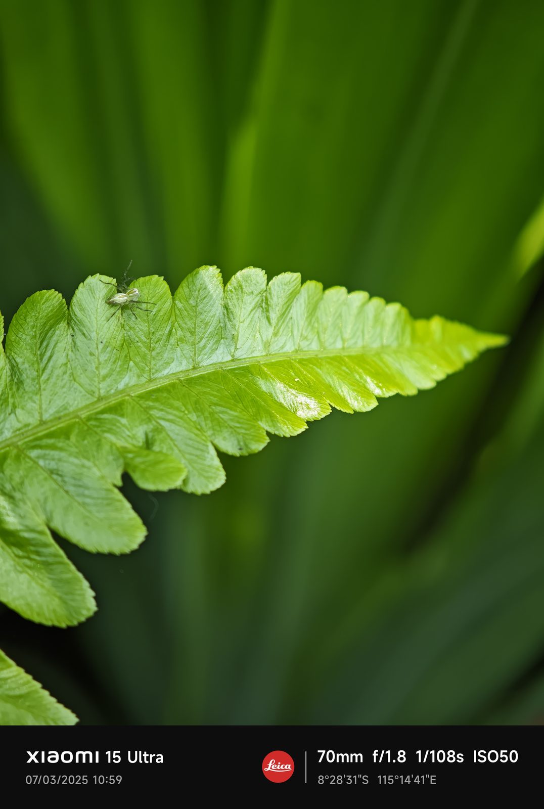 54375265711 Xiaomi 15 Ultra - Foto 14