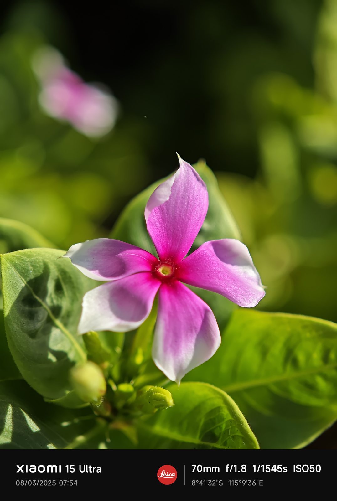 Xiaomi 15 Ultra - Foto 7