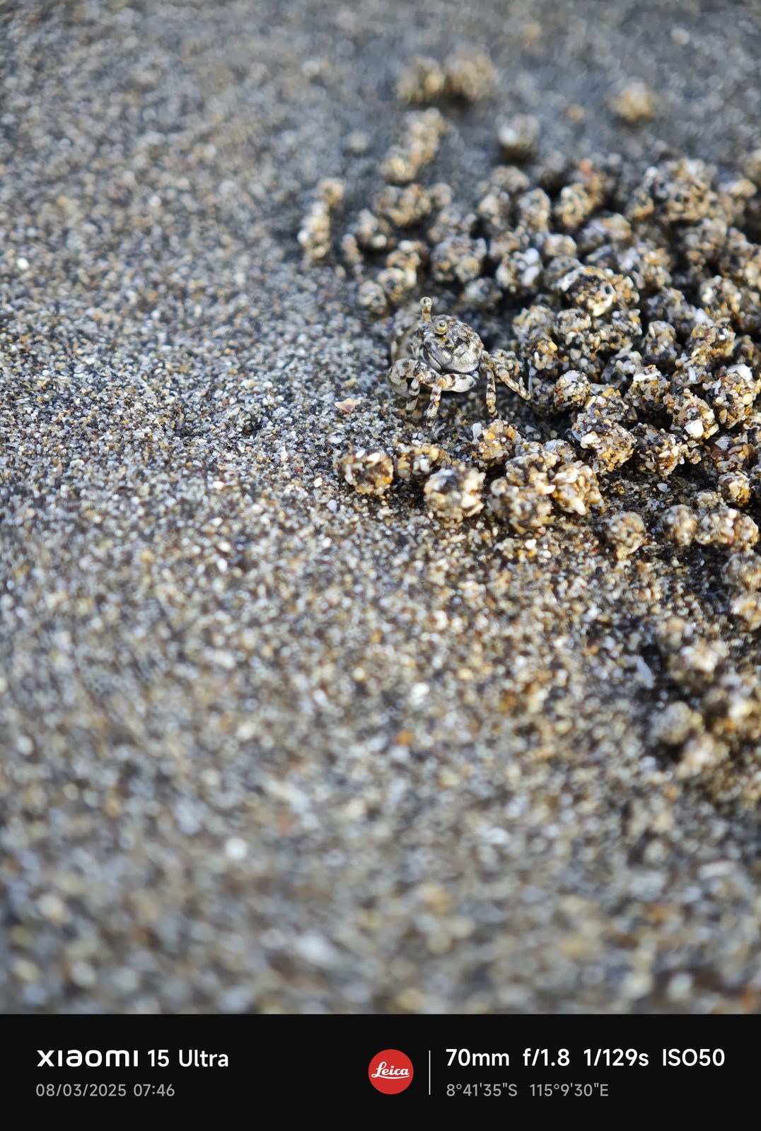 54375667123 Xiaomi 15 Ultra - Foto 9