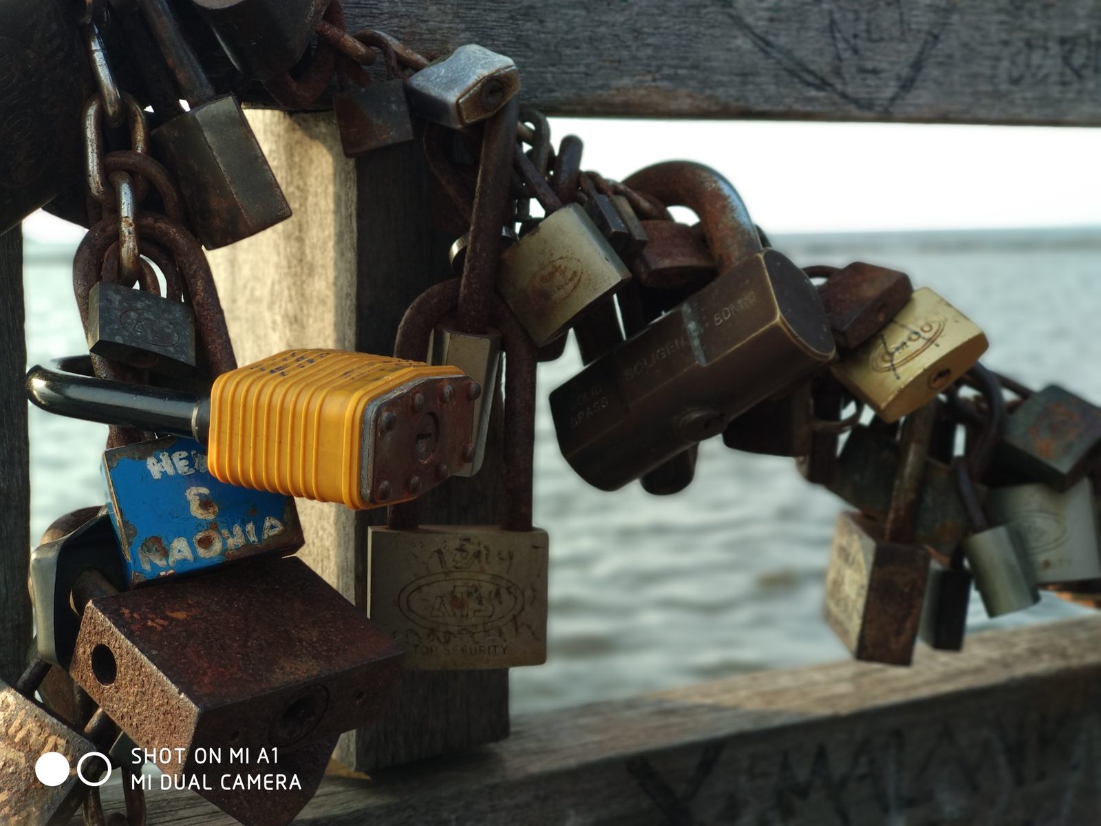 36971705814 Hasil foto Xiaomi Mi A1 (21)