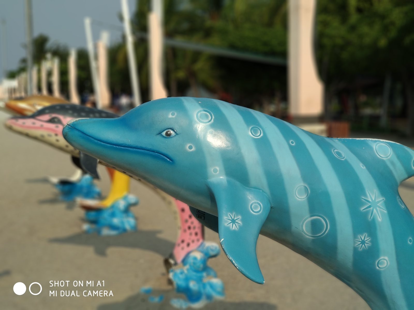 37423757790 Hasil foto Xiaomi Mi A1 (14)