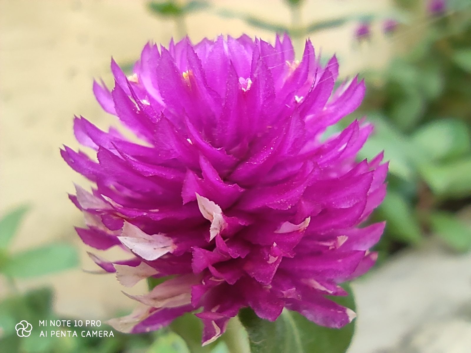 49324663843 Hasil foto Xiaomi Mi Note 10 Pro (2)