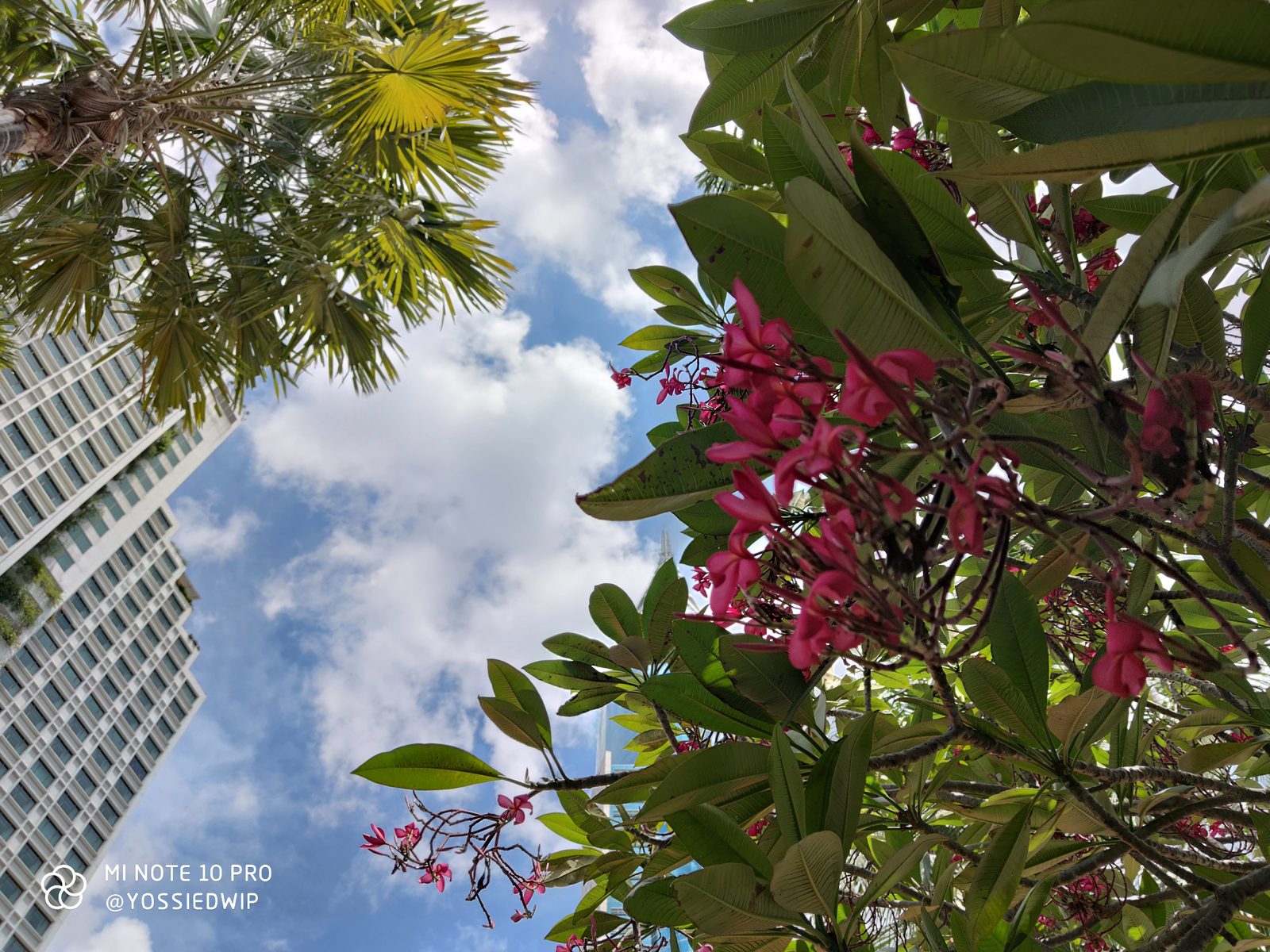 Hasil Foto Xiaomi Mi Note 10 Pro (13)