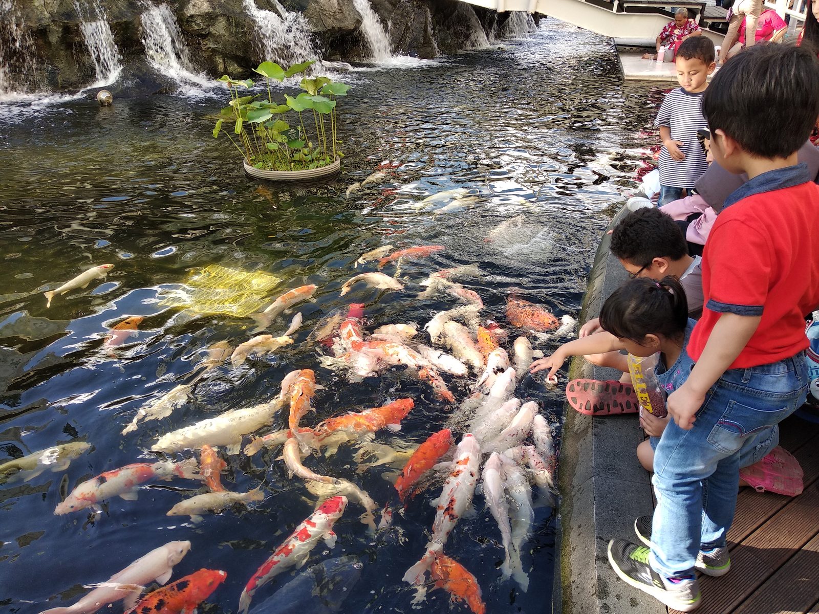 40367473202 Hasil foto Xiaomi Redmi 5 Plus (4)