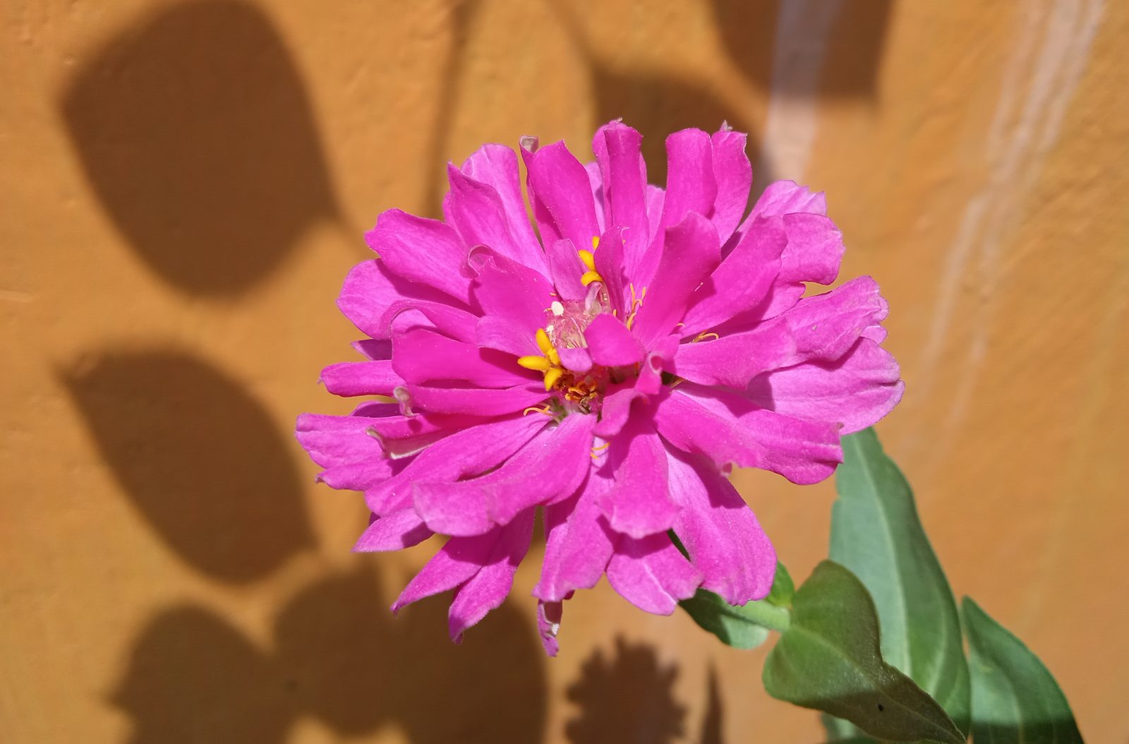 50322405123 Hasil foto Redmi 9C (3)
