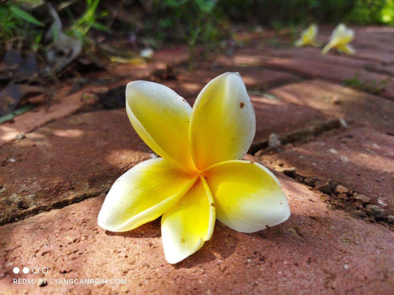 50996179212 Kamera utama Redmi 9T (4)