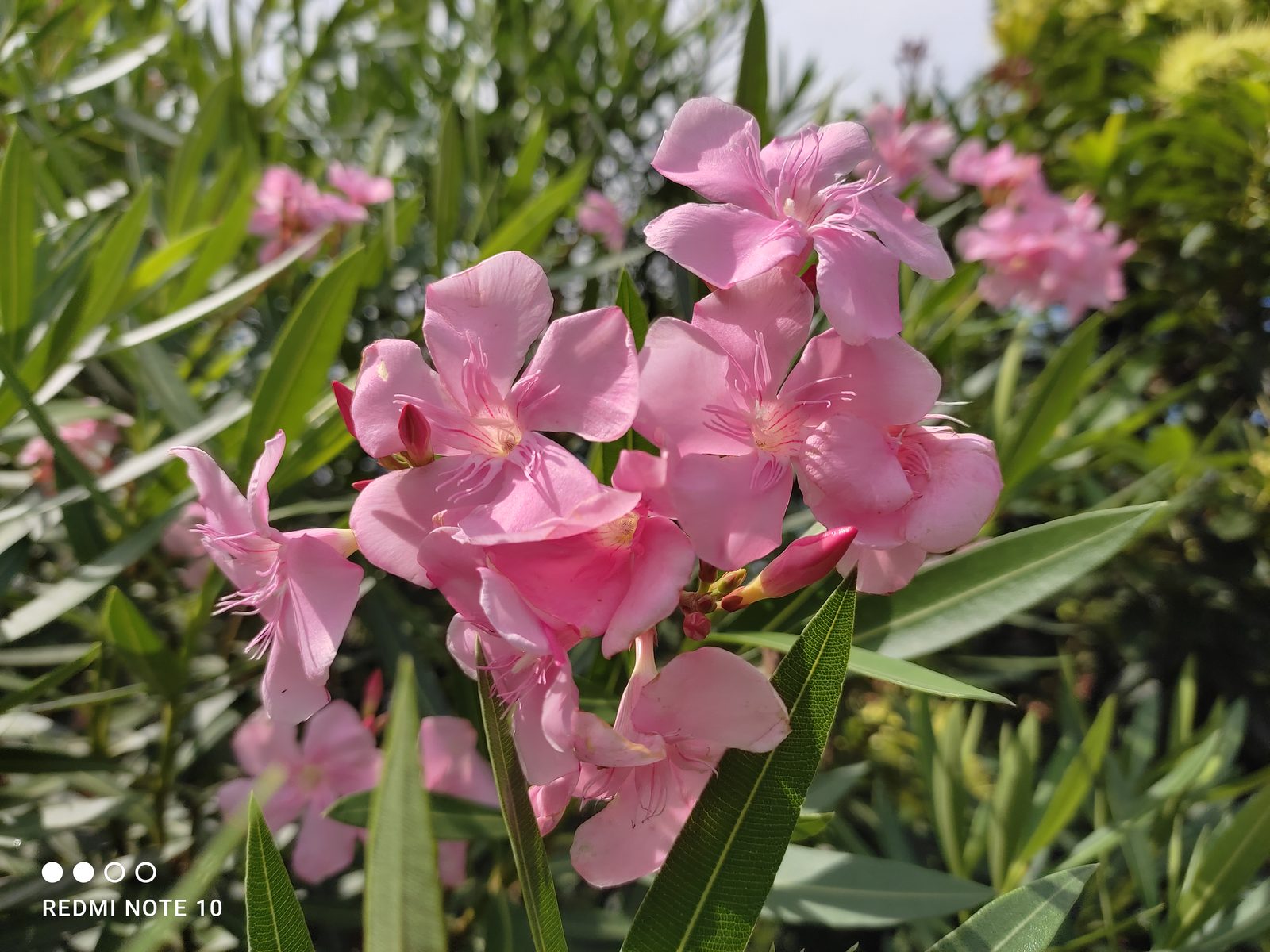 51141334082 Main Camera Redmi Note 10 (3)
