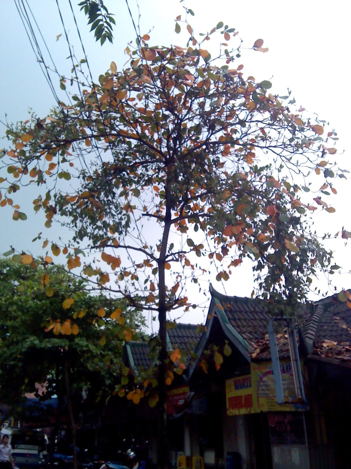 ZTE N855D outdoor